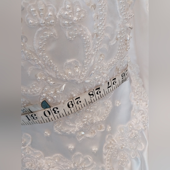 Alfredo Angelo Wedding Dress - Picture 12 of 15
